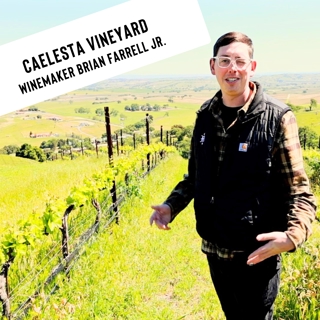 Caelesta Vineyard: Templeton Gap's Hidden Gem. A Day with Family Winemaker Brian Farrell Jr.