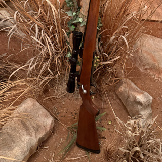 Youth Hunting Rifle Recommendations