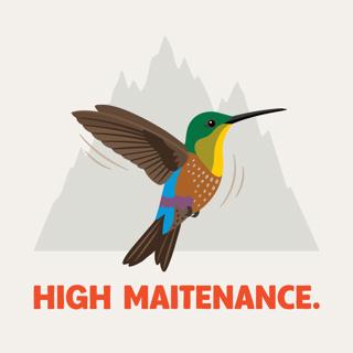 Okay, but what's it like as a bird at the top of the world?