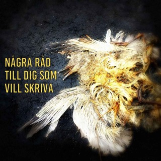 Några råd till dig som vill skriva