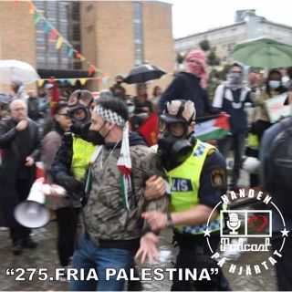 "276. FRIA PALESTINA"