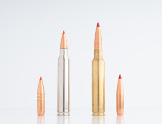 .300 Win Mag vs. .300 PRC: Which is best?