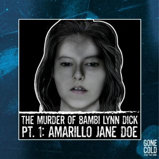 Bambi Lynn Dick Part 1: Amarillo Jane Doe