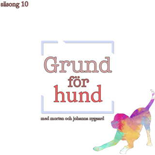 Grund för hund