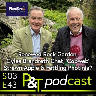 Renewed Rock Garden, Gyles Brandreth Chat, 'Cobweb' Strewn Apple & How to Fettle Photinia?