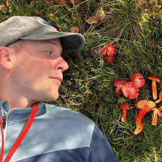 Musselmysteriet på Västkusten och läkaren som tog svampledigt