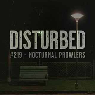 #219 - Nocturnal Prowlers