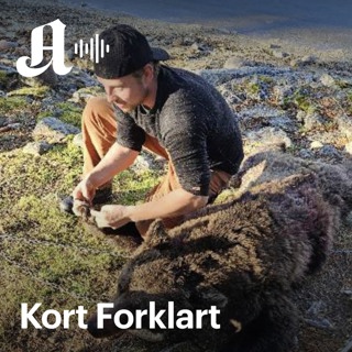 Kort Forklart: Dreyer og bjørnejakten. Hva straffes han egentlig for?