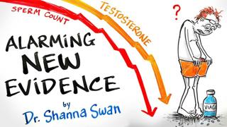 Endocrine Disruptors - Common Chemicals That Severely Alter Your Hormones - Dr. Shanna Swan | After Skool