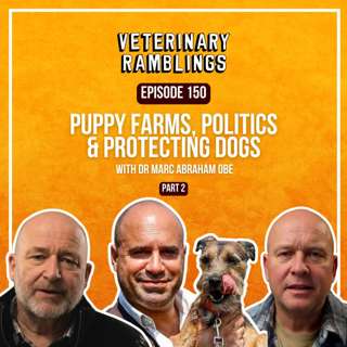 Puppy Farms, Politics & Protecting Dogs with Dr. Marc Abraham part 2