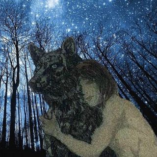 Wild Children - Real Stories for Sleep
