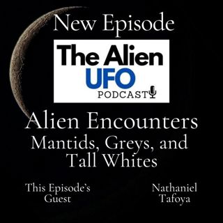 Alien Encounters: Mantids, Greys, and Tall Whites