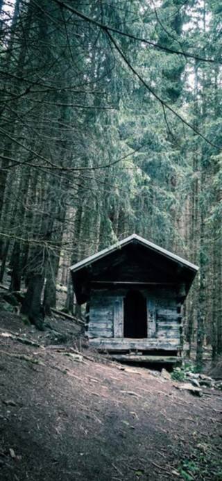 THE FAE AND THE SHACKS