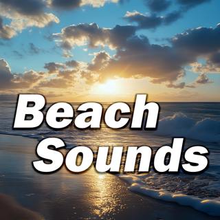 Sandy Horizons of Calm: Peaceful Shore Sounds
