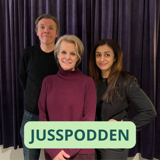 §274 Terrordom, forvaring i Baneheia-saken og debatt i studio