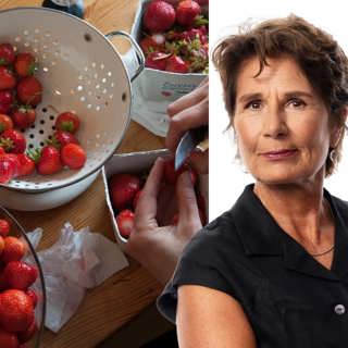 En lyx att fråga om jordgubbar: Alice Petrén, migrationskorrespondent