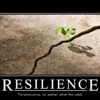 Episode 332: What Is This Thing Called Resilience?