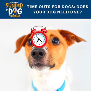 Time Outs for Dogs: Does Your Dog Need One? #34