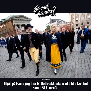 Livsrådet: Hjälp! Kan jag ha folkdräkt utan att bli kodad som SD-are? 