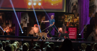 SPECIALAVSNITT: Cesar Millan - Samtal med och om världens mest kontroversiella hundprofil
