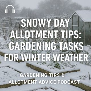 🎧 Snowy Day Allotment Tips: Gardening Tasks for Winter Weather | Gardening Tips & Allotment Advice Podcast