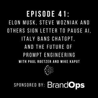 #41: Elon Musk, Steve Wozniak and Others Sign Letter to Pause AI, Italy Bans ChatGPT, and the Future of Prompt Engineering