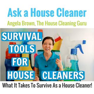 #1 Survival Tool for House Cleaners