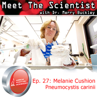 MTS27 - Melanie Cushion - Pneumocystis carinii