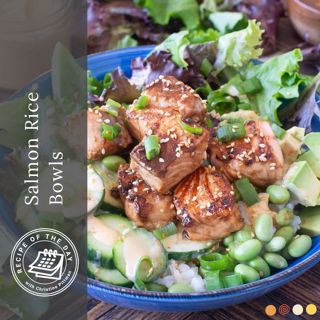 Salmon Rice Bowls