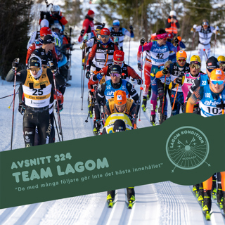 324. Presentation av Team Lagom