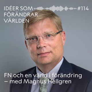 FN och en värld i förändring – med Magnus Hellgren