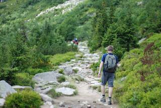 How to Think Like an Ecologist with Dr. Amy McEuen