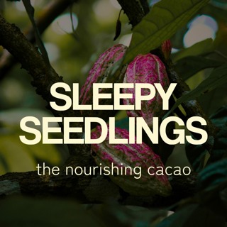 The Nourishing Cacao