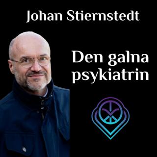 Johan Stiernstedt - Den galna psykiatrin