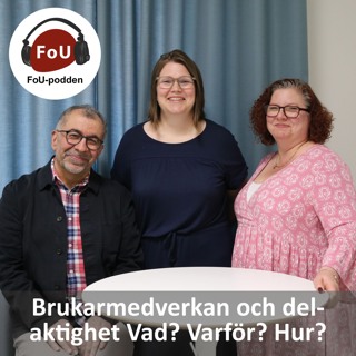 110, Brukarmedverkan och delaktighet - Vad? Varför? Hur?