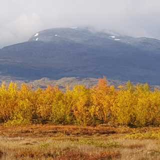 Om varmare fjäll - och en fågeldagboks betydelse