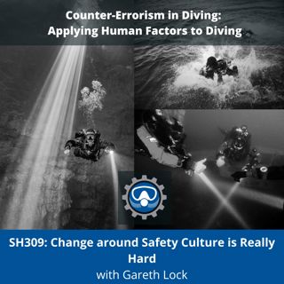 SH309: Change around Safety Culture is Really Hard