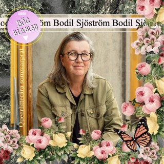 S4E13: Bodil Sjöström om Där kärlek sker