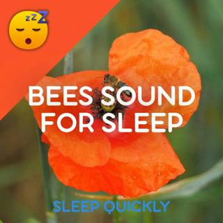 😴🍂 BEES Sound to Fall ASLEEP