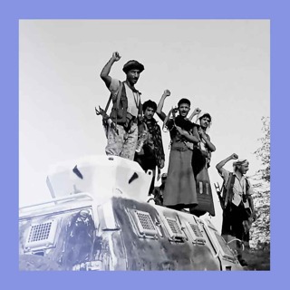 Strait and narrowing: the Houthis’ striking advance