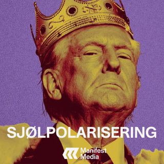 SJØLPOLARISERING: Argumentene FOR et Trump-diktatur