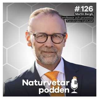 #126 Martin Bergö – Desinformation som hotar folkhälsan