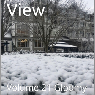 Panoramic View Volume 21 Gloomy by Daniel Lucas