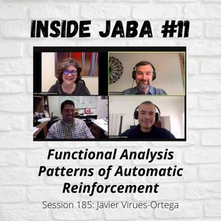 Inside JABA Series 11: Functional Analysis Patterns of Automatic Reinforcement