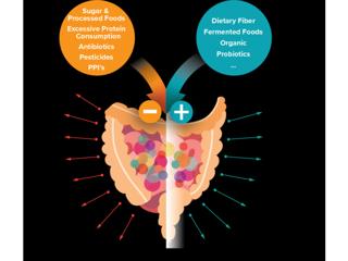 Accelerating Research in Parkinson's Gut-Brain-Immune Research