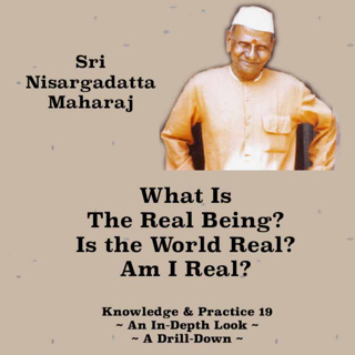 Nisargadatta Maharaj Guided Practice 19 | What Is The Real "I"? Is The World Real? Am I Real?