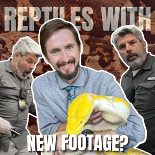 Clints Reptiles & New FWC Body Cam Footage | Reptiles With Podcast S04EP35 (REPTILE PODCAST)