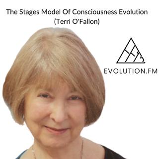 The Stages Model Of Consciousness Evolution (Terri O'Fallon)