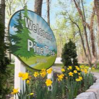 Ep. 101 - Clothes are STILL Off at "Pine Tree Associates" - MATT DELL