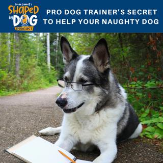 Pro Dog Trainer's Secret to Help Your Naughty Dog #71